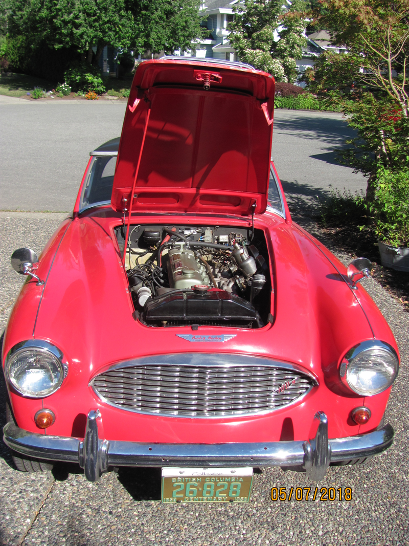 Illustration for article titled Austin Healey Dump